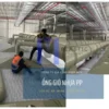 Ống gió nhựa PP bền, đẹp 1 Ống gió nhựa PP của Gia Công Nhựa MTV